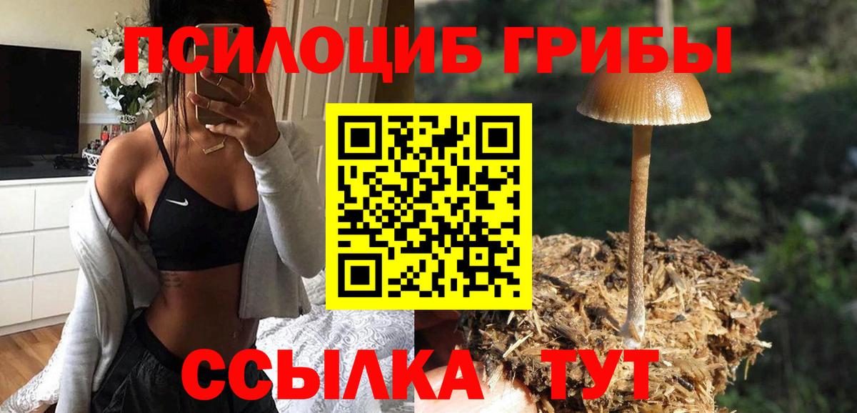 Псилоцибиновые грибы мицелий Славгород